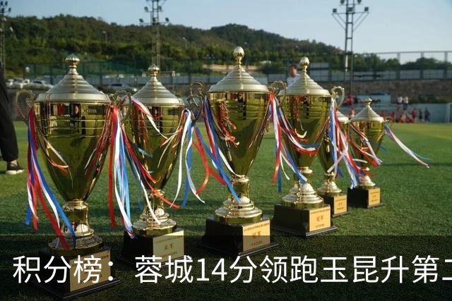 积分榜：蓉城14分领跑玉昆升第二 2-6名差2分 海牛三镇降级区